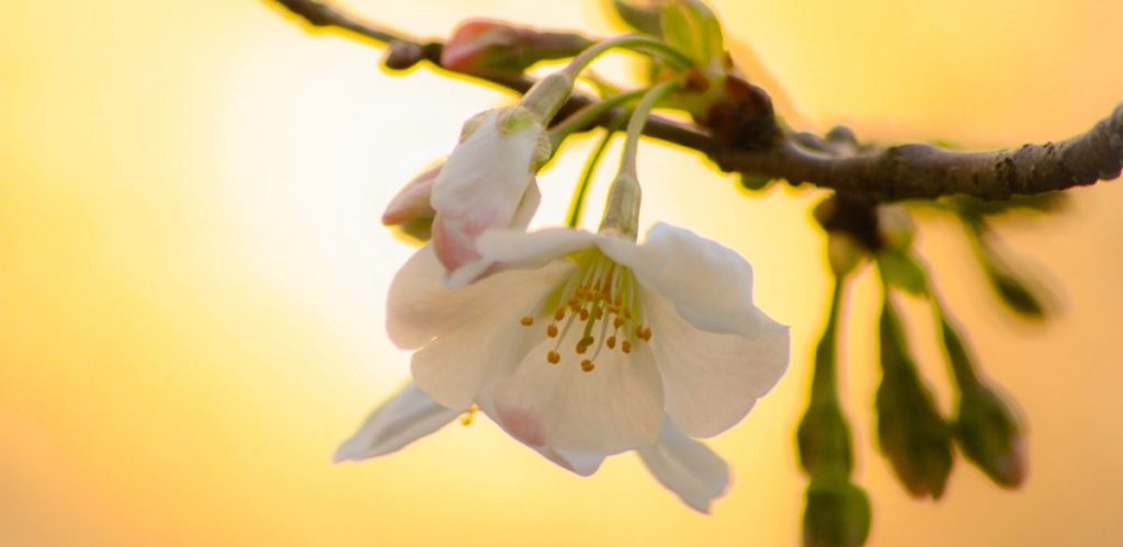 ニュータイプ塾講師